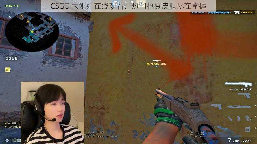 CSGO 大姐姐在线观看，热门枪械皮肤尽在掌握