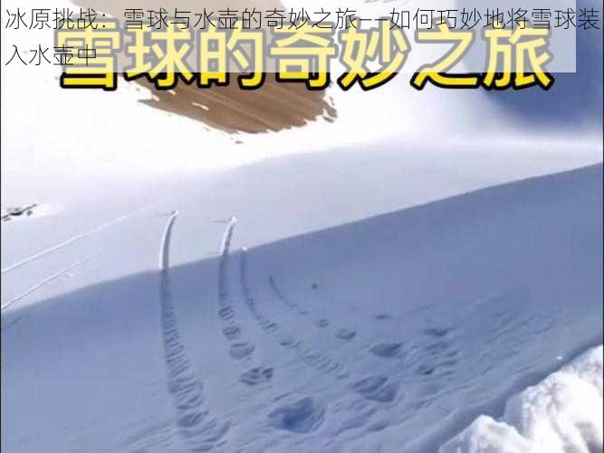 冰原挑战：雪球与水壶的奇妙之旅——如何巧妙地将雪球装入水壶中